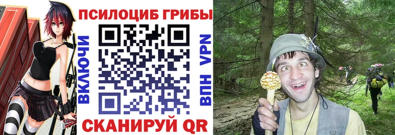 hydra зеркало  Балабаново  Псилоцибиновые грибы Psilocybe 